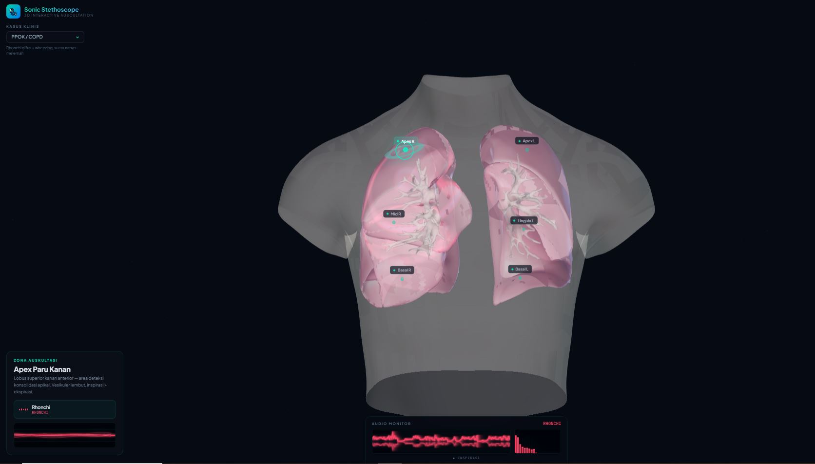 Sonic Stethoscope 3D